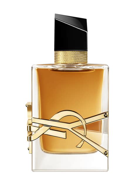 ysl france price